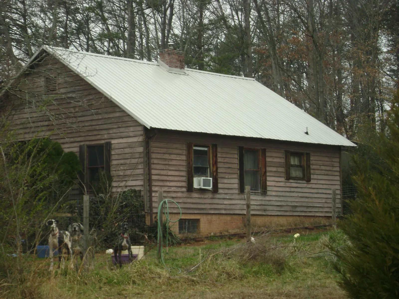 White metal roof on an old wood sided farmhouse, from a Asphalt Shingle Roof Repair job in Wilson Creek